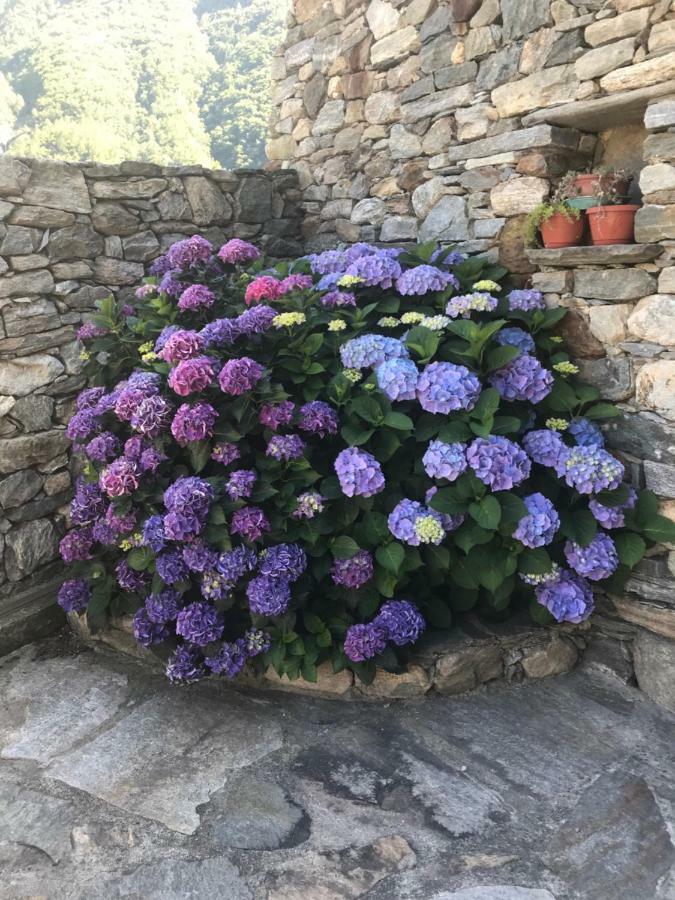 Lo Sougnet Otel Hone Dış mekan fotoğraf